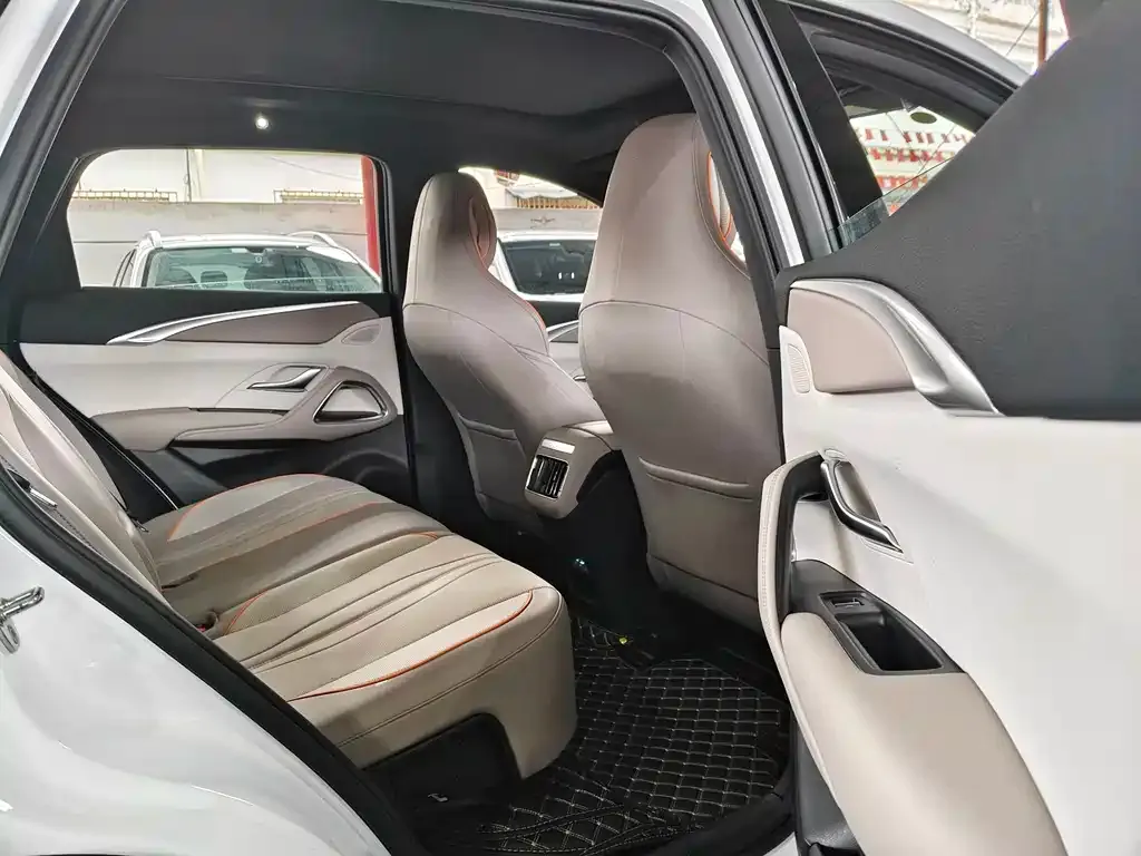 BYD Pro New Energy — фото 3