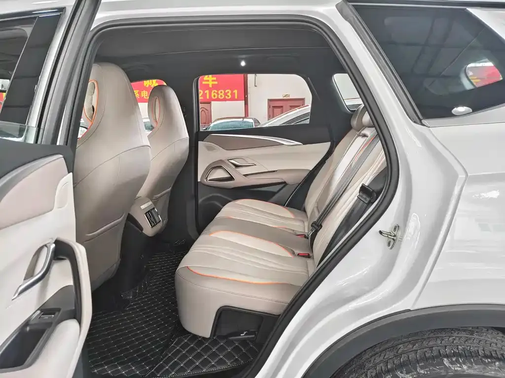 BYD Pro New Energy — фото 5