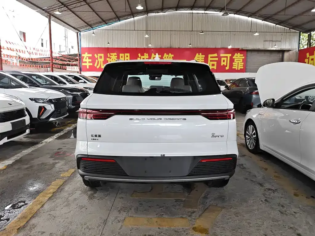 BYD Pro New Energy — фото 7