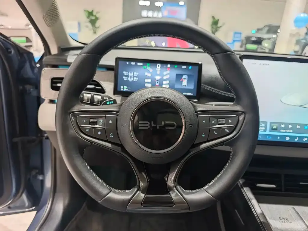 BYD Seal 06 DM-i Touring Edition 2025 из CN, фото 10