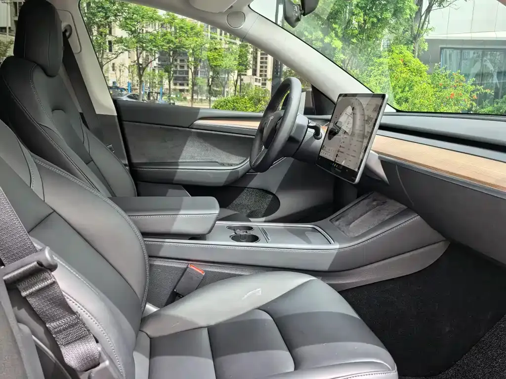 Tesla Model Y — фото 3