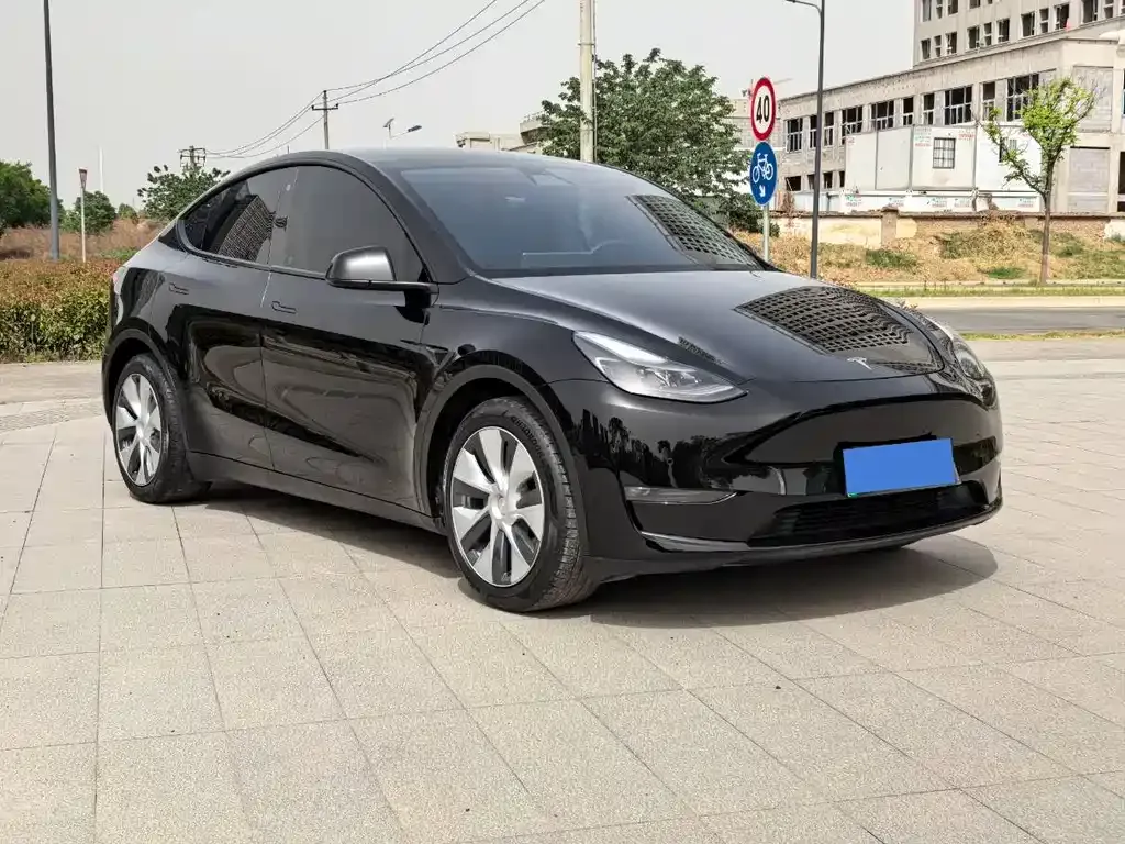 Tesla Model Y — фото 4