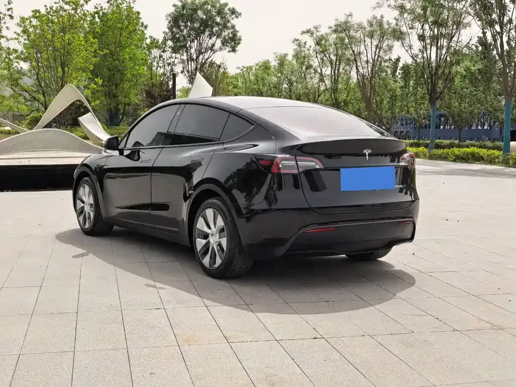 Tesla Model Y — фото 10