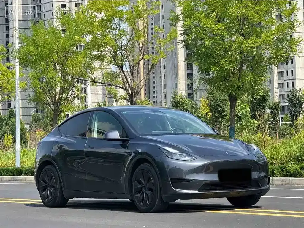 Tesla Model Y — фото 7