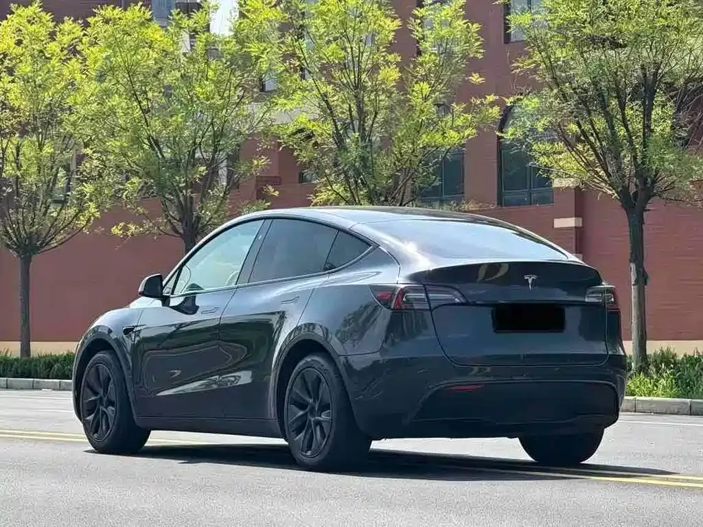 Tesla Model Y — фото 9