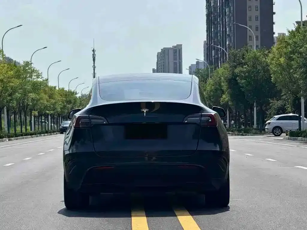 Tesla Model Y — фото 8