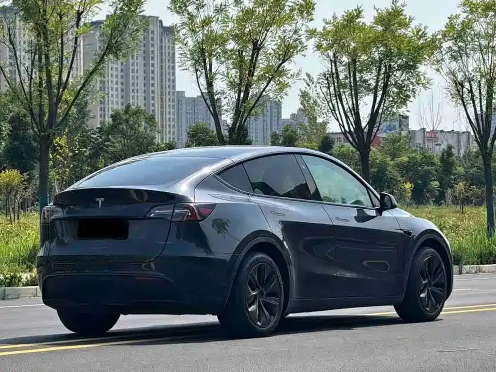 Tesla Model Y — фото 2