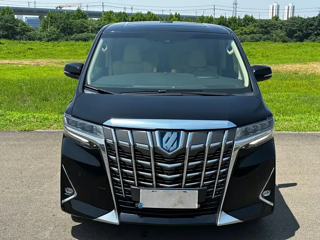 Toyota Alphard — фото 9