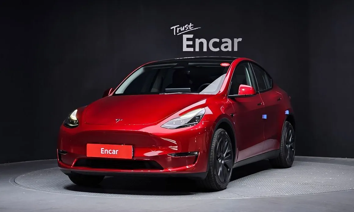 Tesla Model Y — фото 1