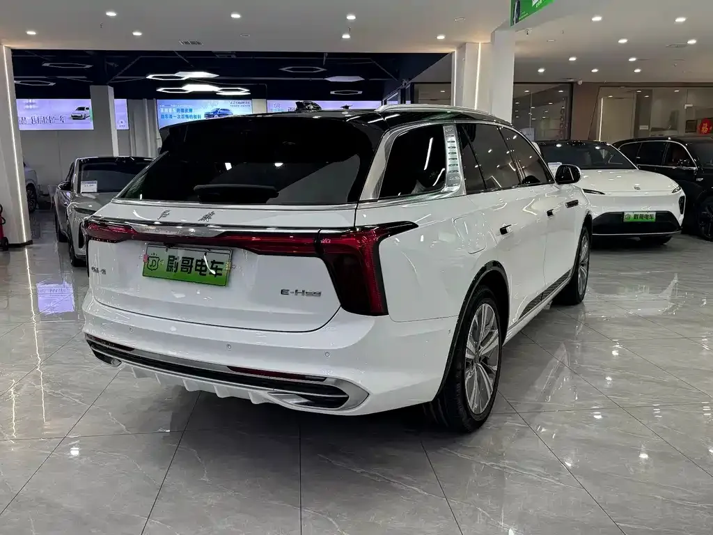 Hongqi E-HS9 — фото 2