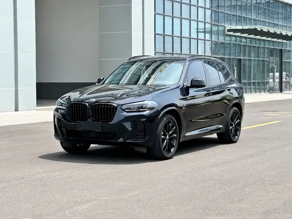 BMW X3 — фото 1