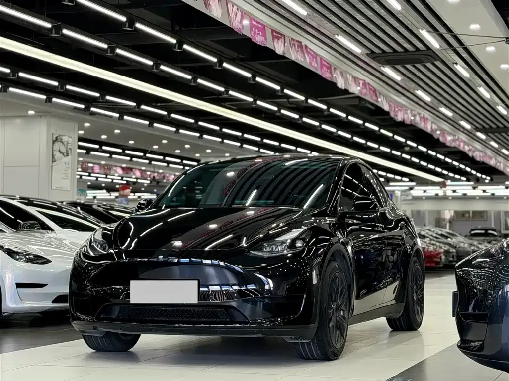 Tesla Model Y — фото 1