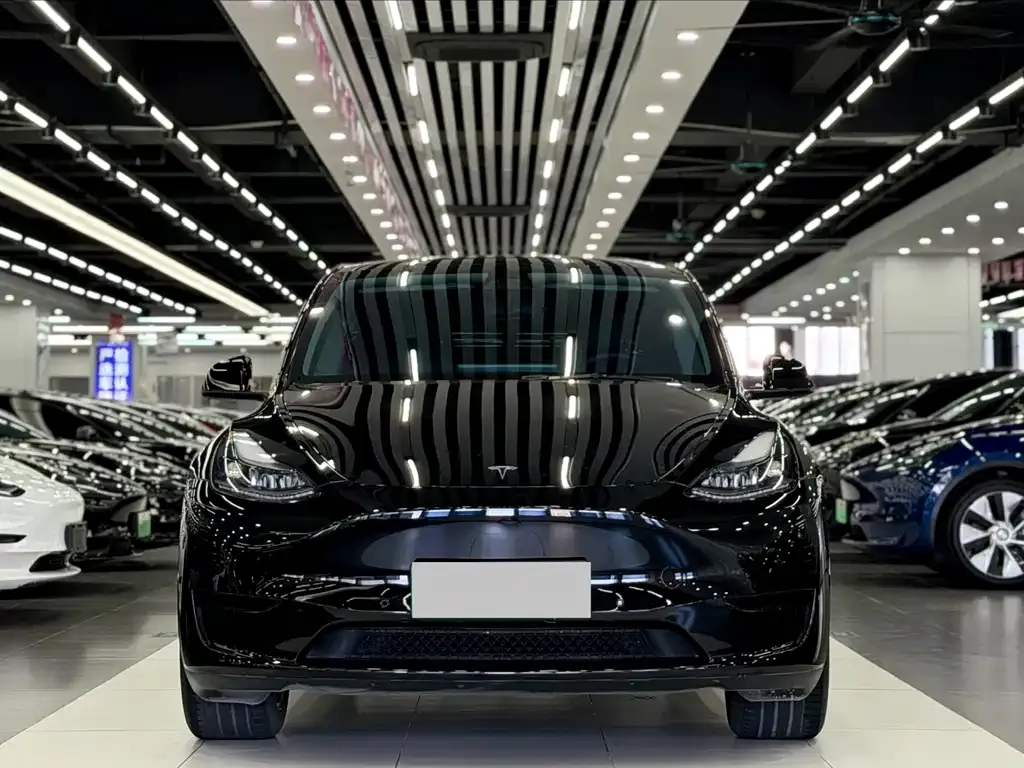 Tesla Model Y — фото 6