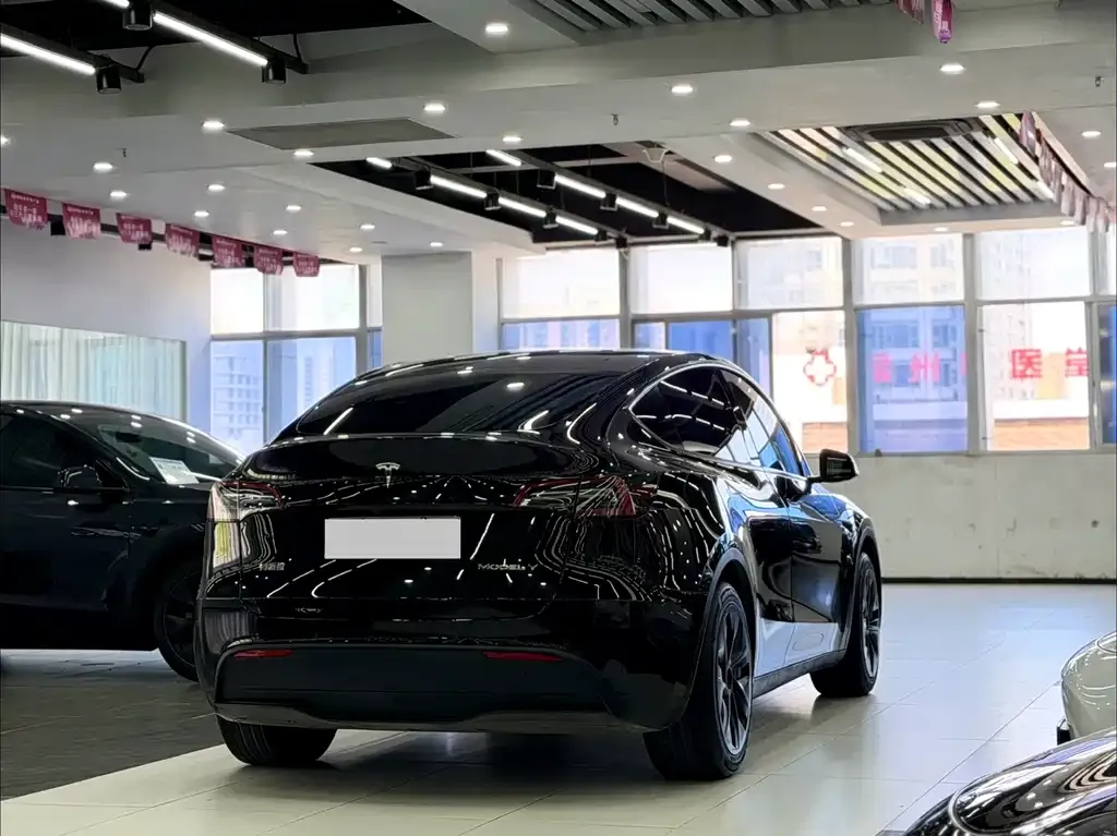 Tesla Model Y — фото 4