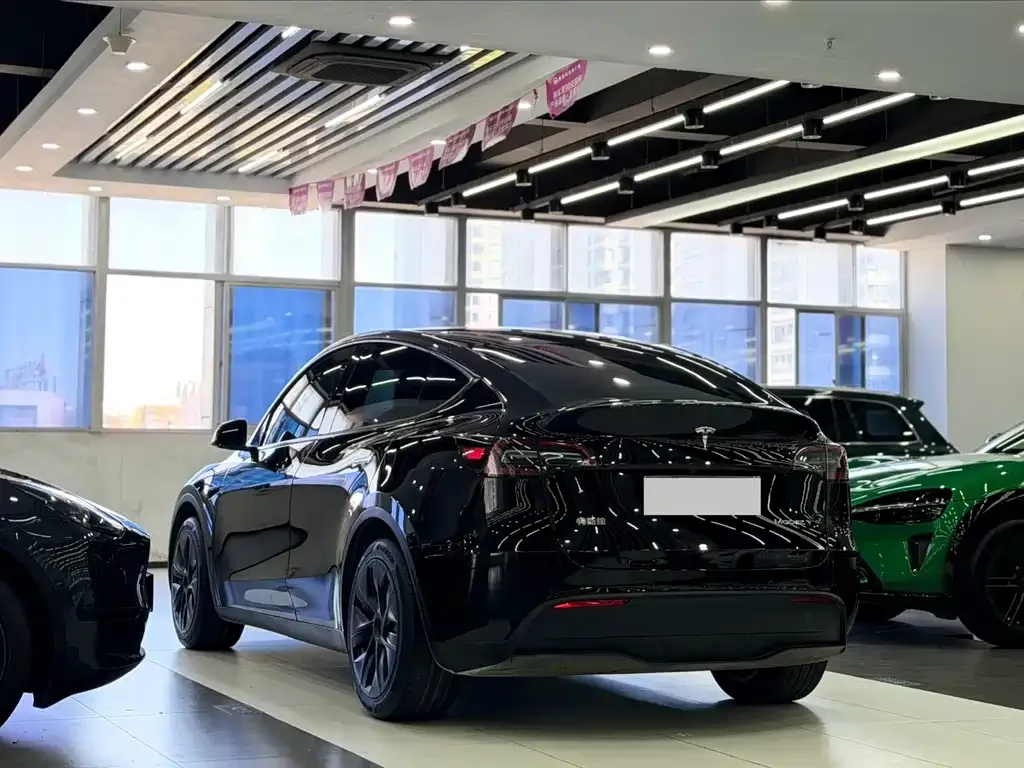 Tesla Model Y — фото 8