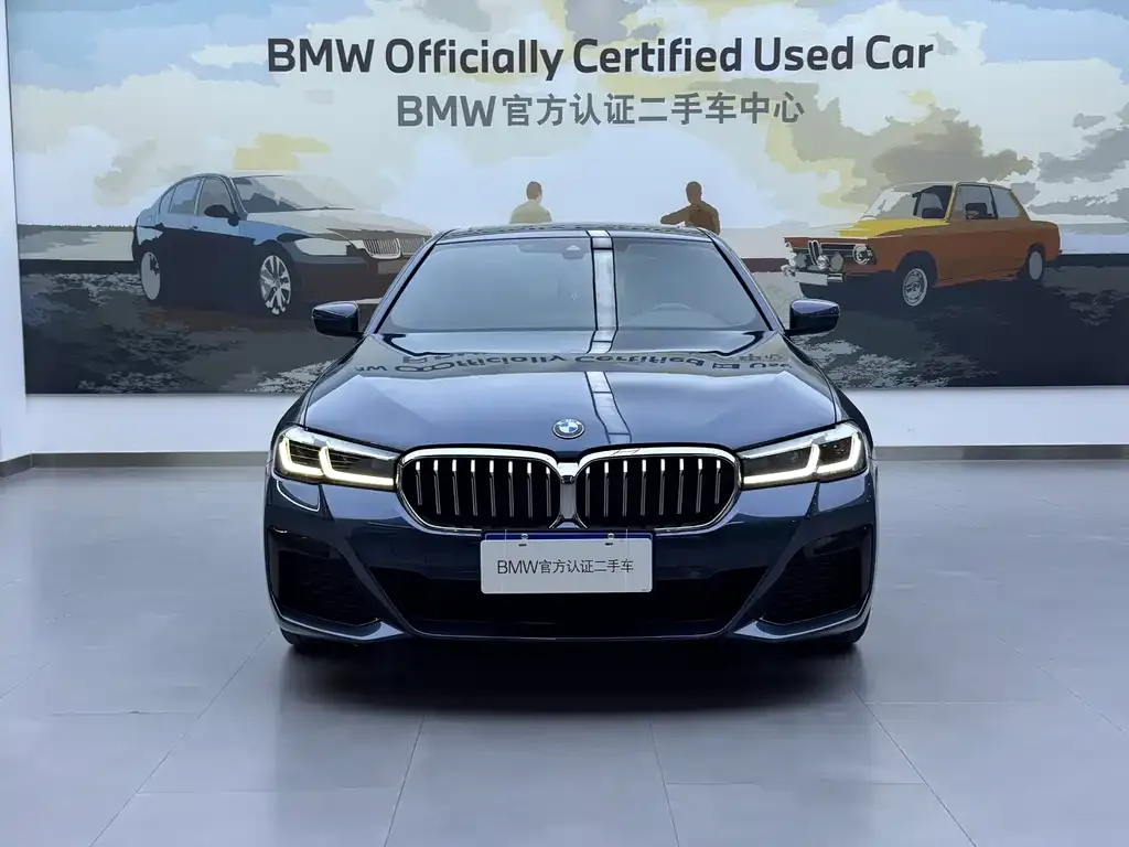 BMW 5 Series (Import) — фото 10