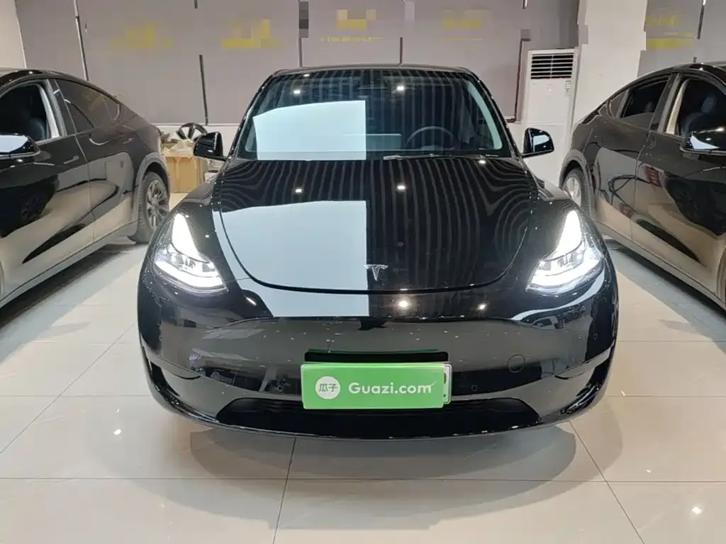 Tesla Model Y — фото 10