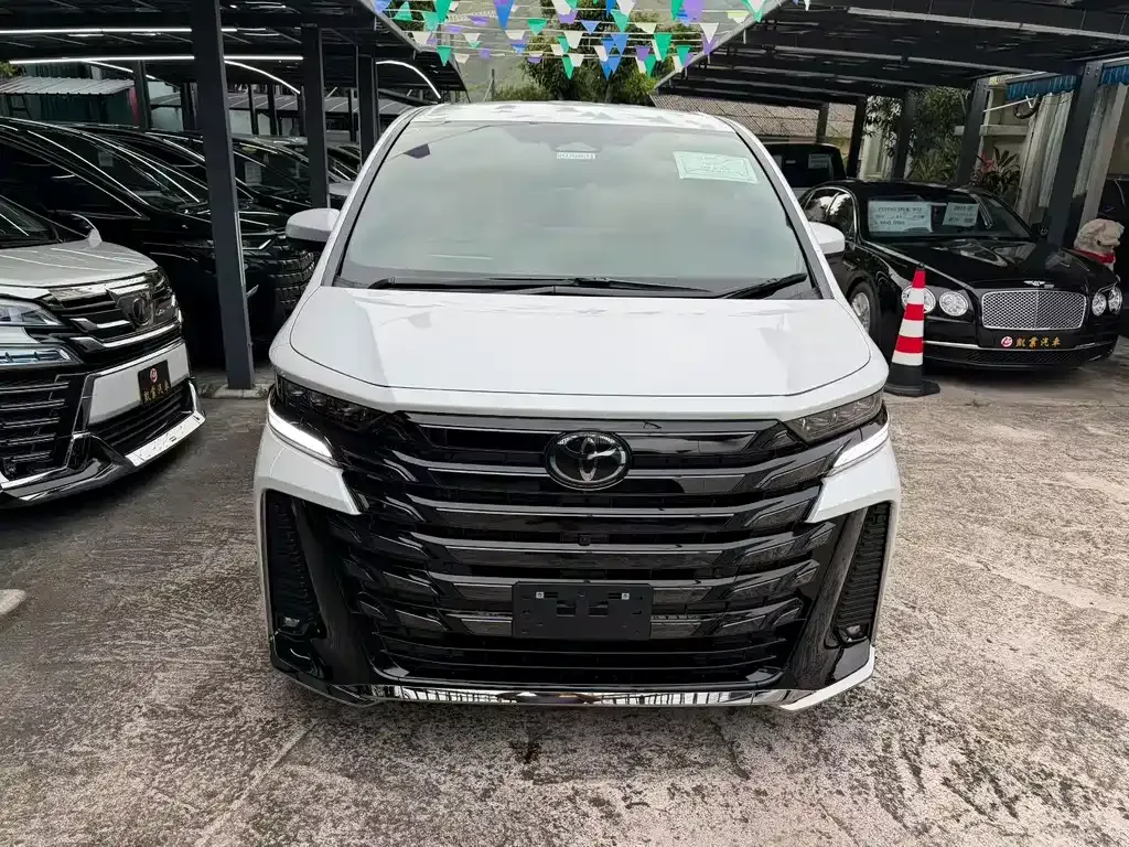 Toyota Alphard — фото 10