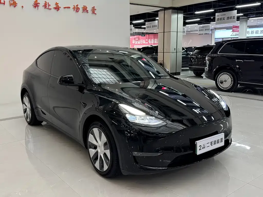 Tesla Model Y — фото 9