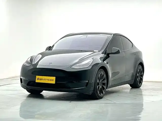 Tesla Model Y — фото 1