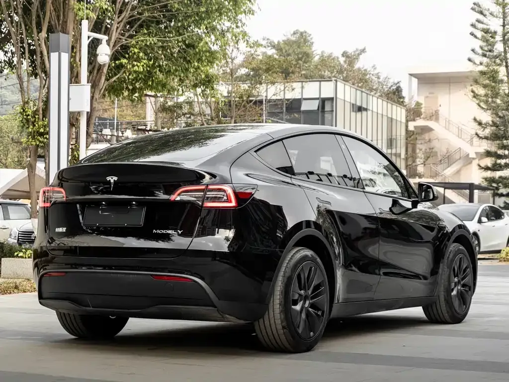 Tesla Model Y — фото 8