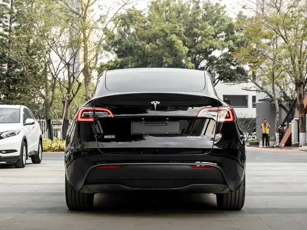 Tesla Model Y — фото 10
