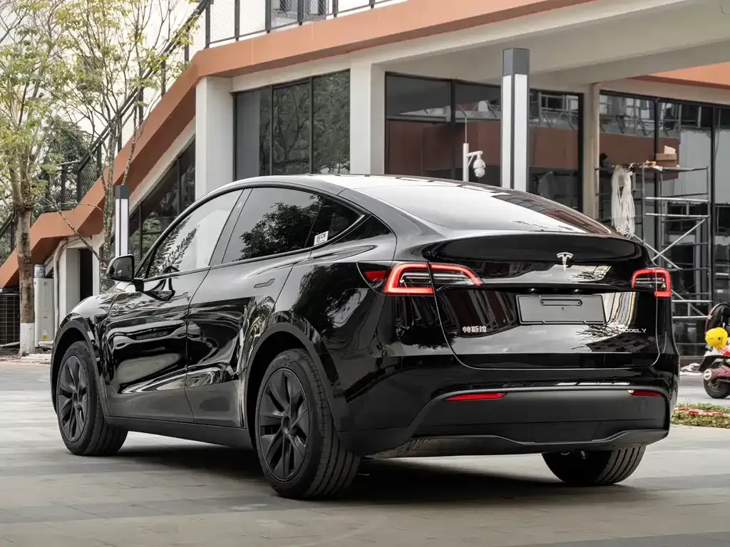 Tesla Model Y — фото 9