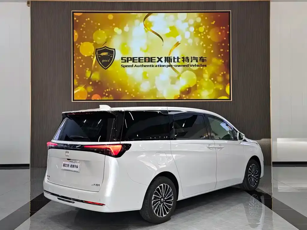 Buick GL8 Hybrid — фото 8