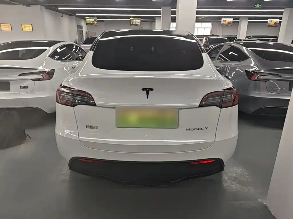 Tesla Model Y — фото 2