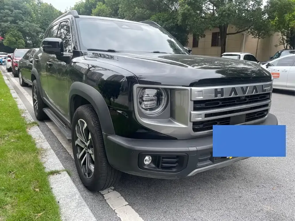 Haval Big Dog 2024 из CN, фото 4