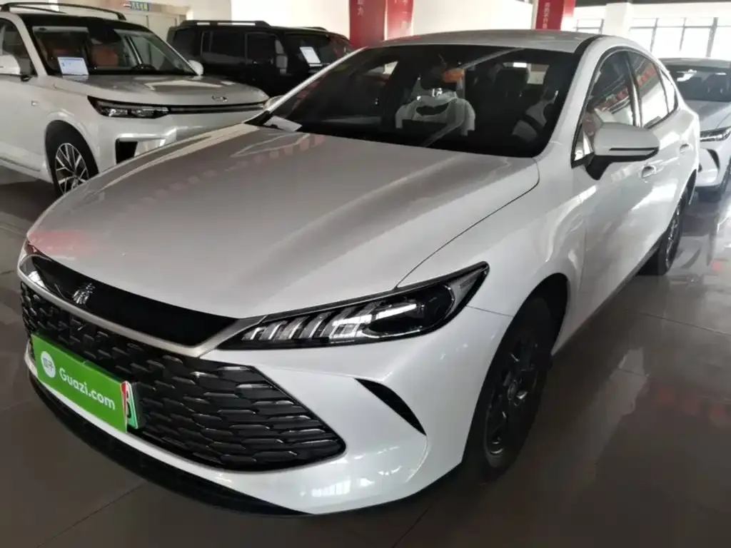 BYD Qin PLUS — фото 1