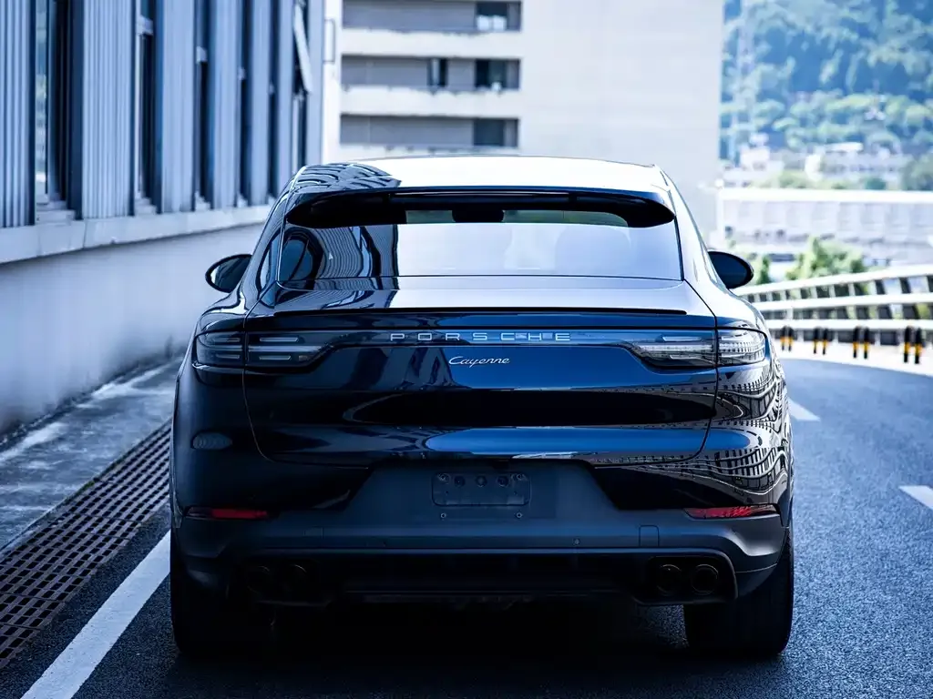 Porsche Cayenne — фото 3