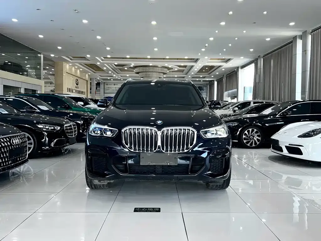 BMW X5 (Import) — фото 6