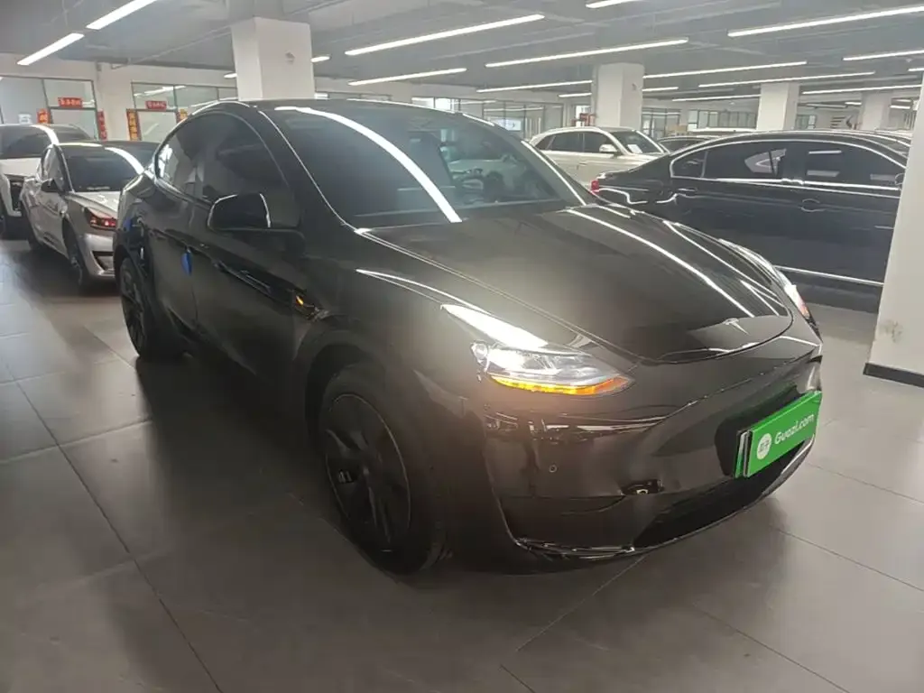 Tesla Model Y — фото 3