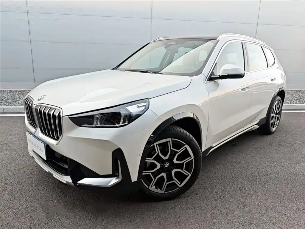 BMW X1 — фото 1