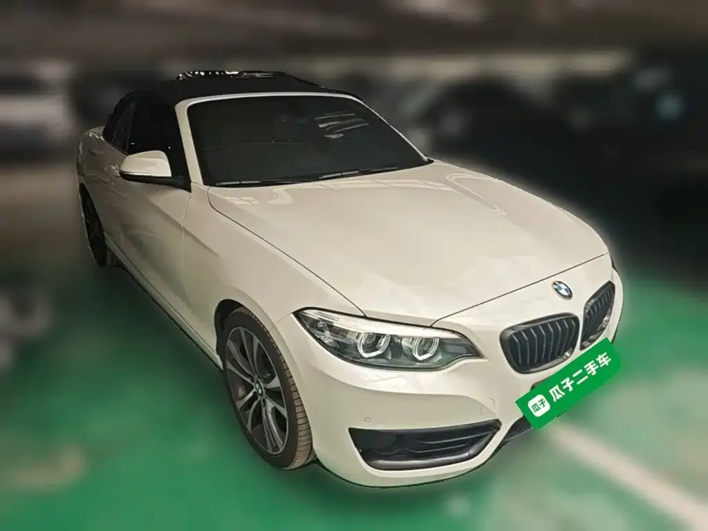 BMW 2 Series (Import) — фото 8