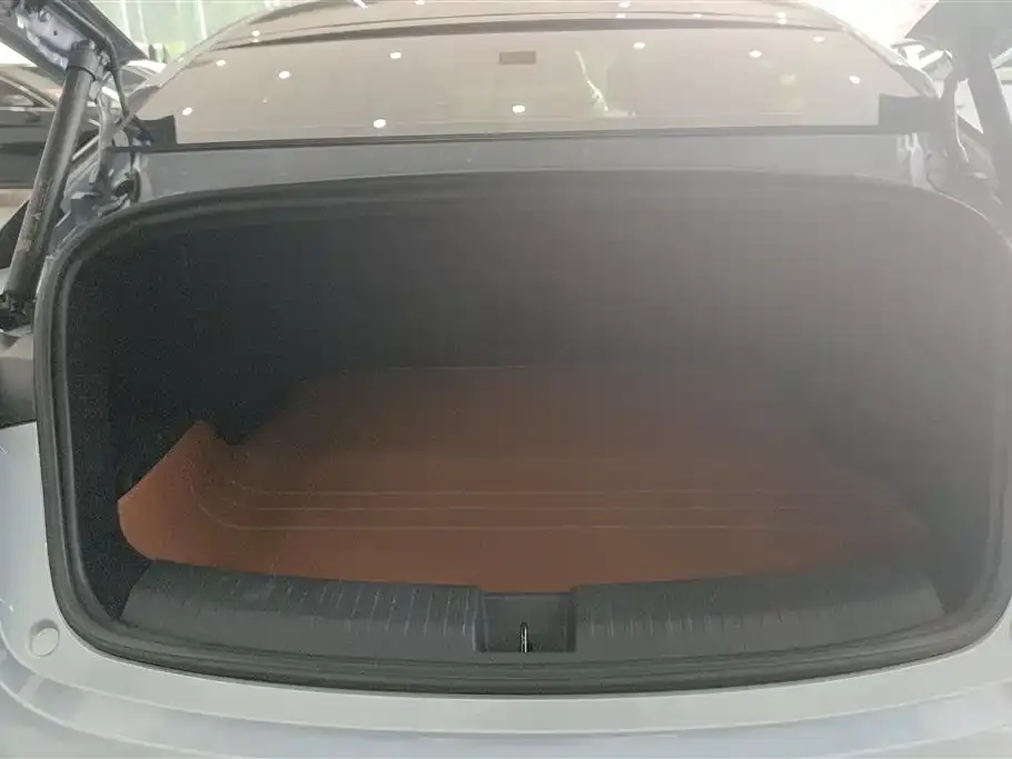 Neta S — фото 3