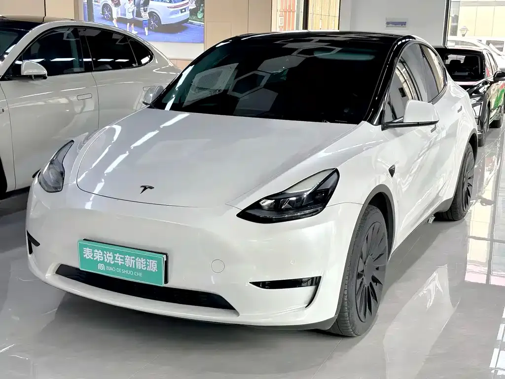 Tesla Model Y — фото 1