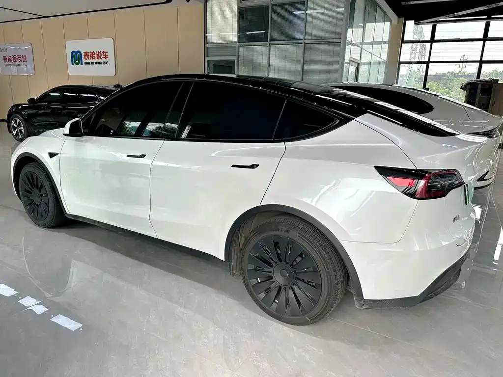 Tesla Model Y — фото 8
