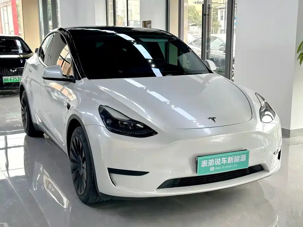Tesla Model Y — фото 10