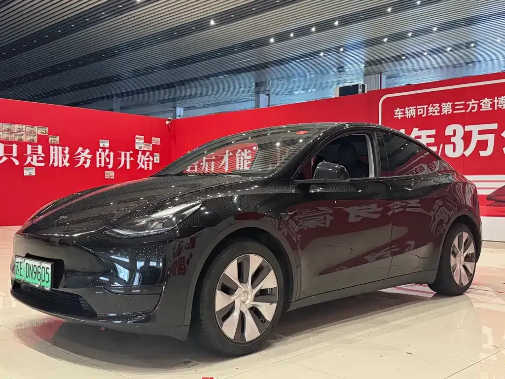 Tesla Model Y — фото 1