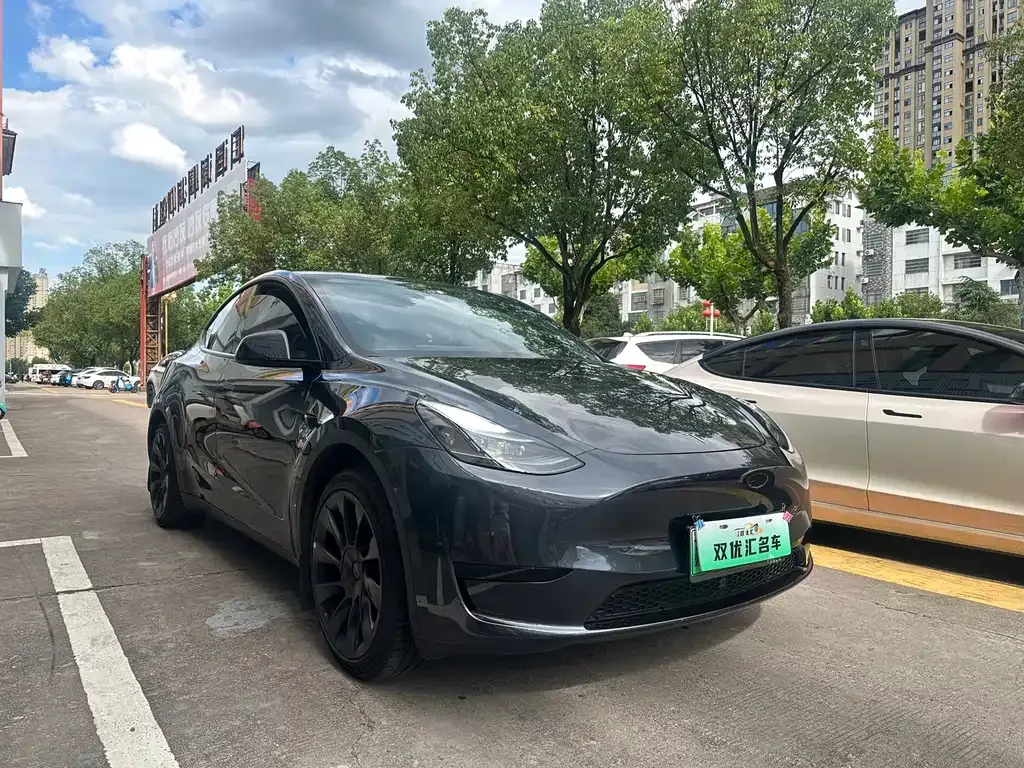 Tesla Model Y — фото 7