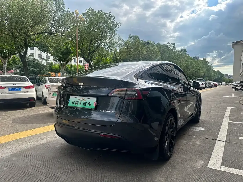 Tesla Model Y — фото 9