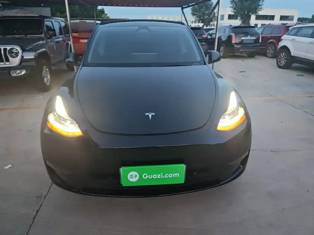 Tesla Model Y — фото 3