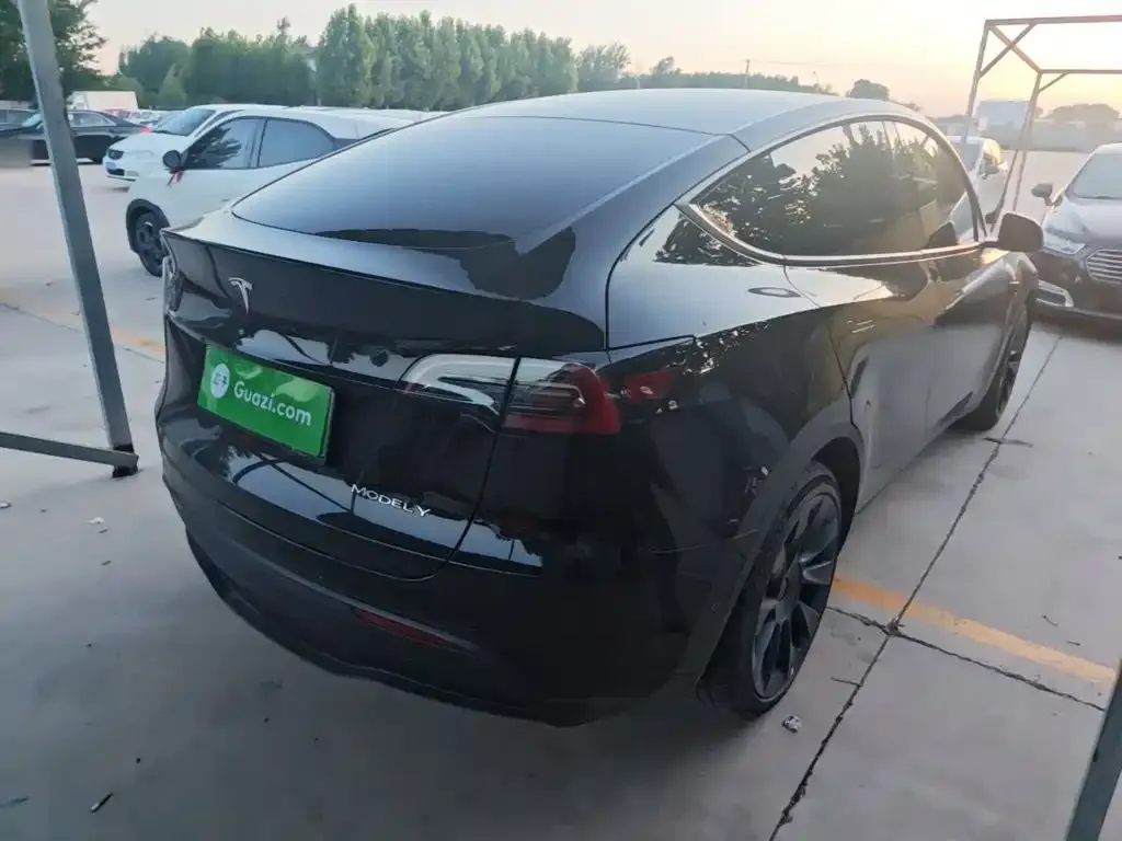 Tesla Model Y — фото 8