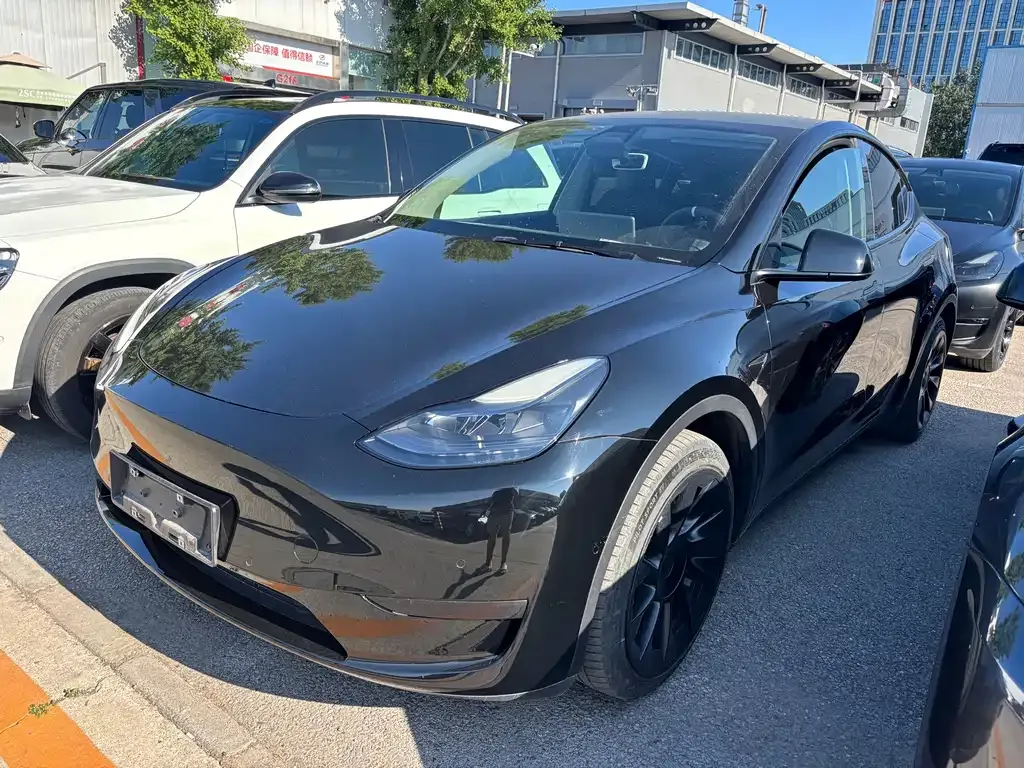 Tesla Model Y — фото 1