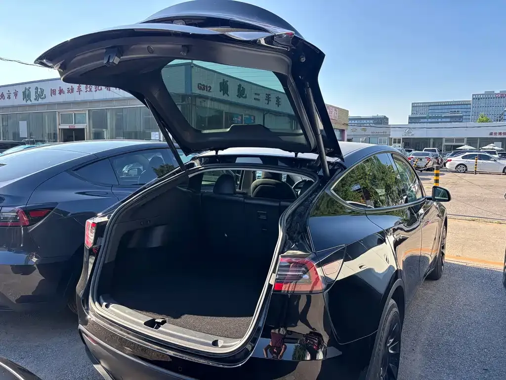 Tesla Model Y — фото 10