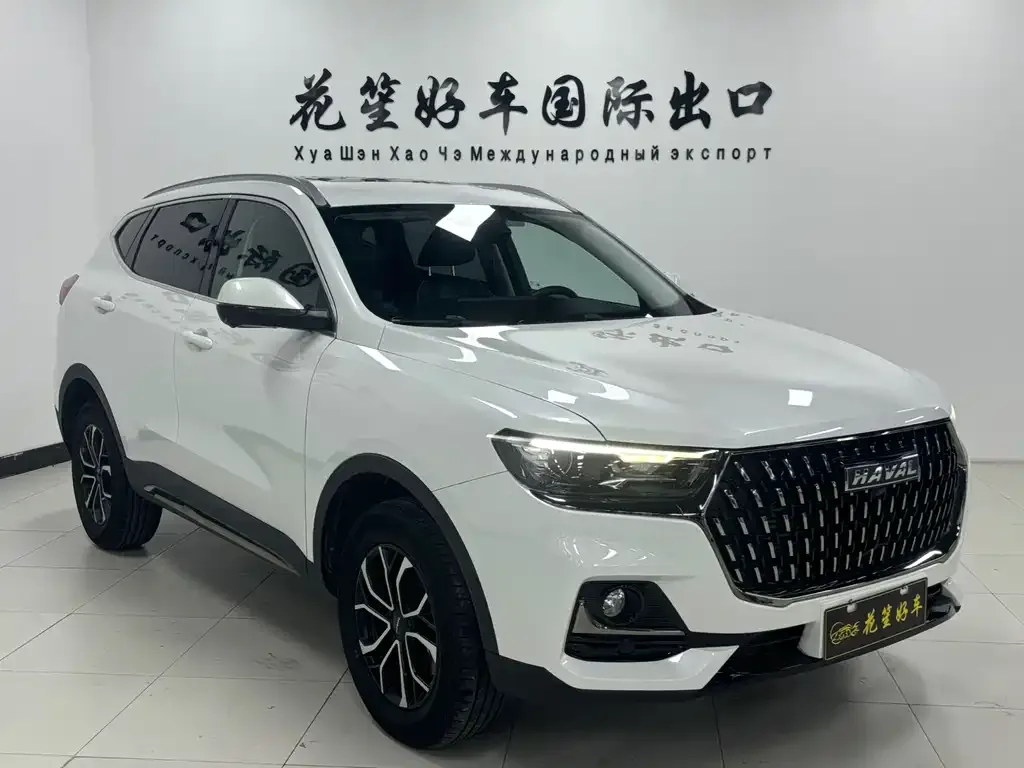 Haval H6 2023 из CN, фото 5