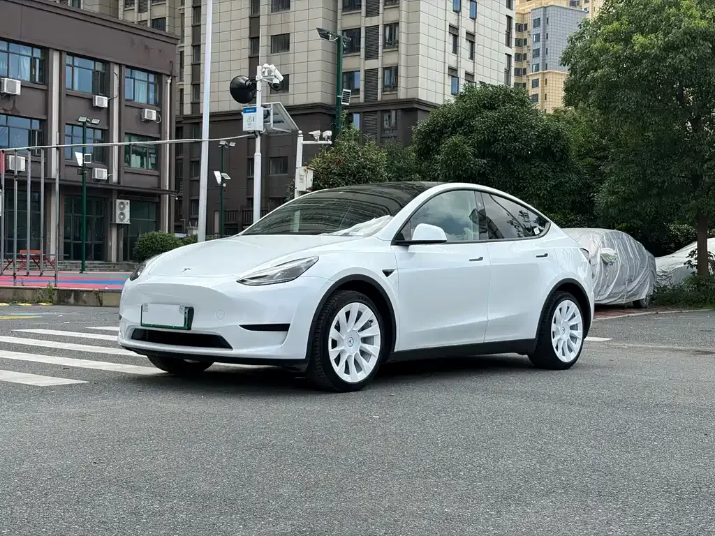 Tesla Model Y — фото 1