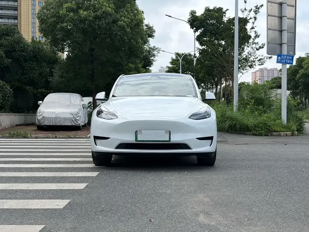 Tesla Model Y — фото 6